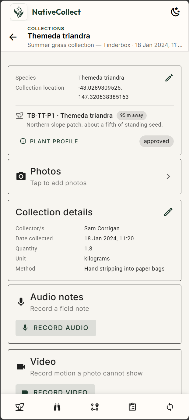 NativeFlow collection for Themeda triandra showing its linked plant location, quantity, collection method, audio notes and video.