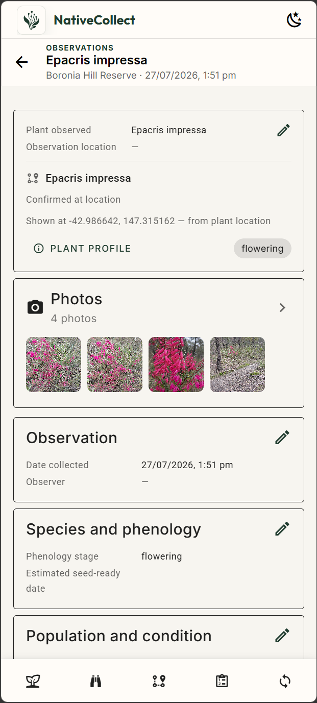 NativeFlow observation for Epacris impressa showing its linked plant location, flowering status and four photos.